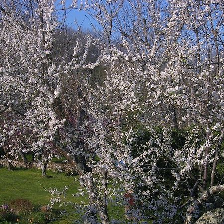 Le Colombier Bed & Breakfast Villeneuve-sur-Lot Bagian luar foto