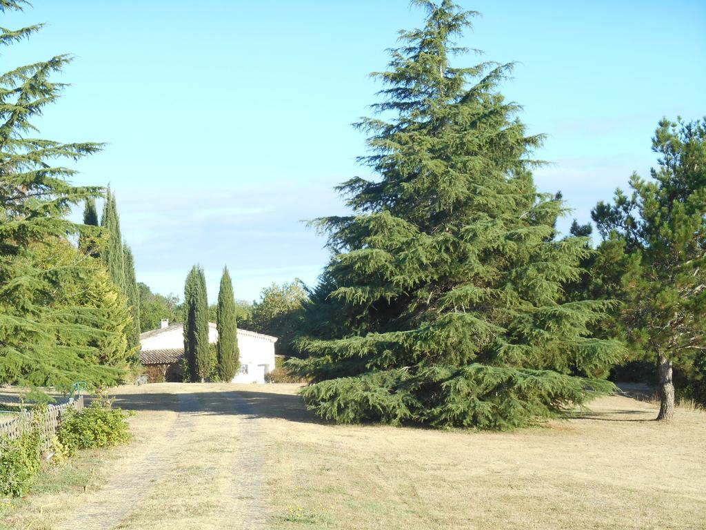Le Colombier Bed & Breakfast Villeneuve-sur-Lot Bagian luar foto
