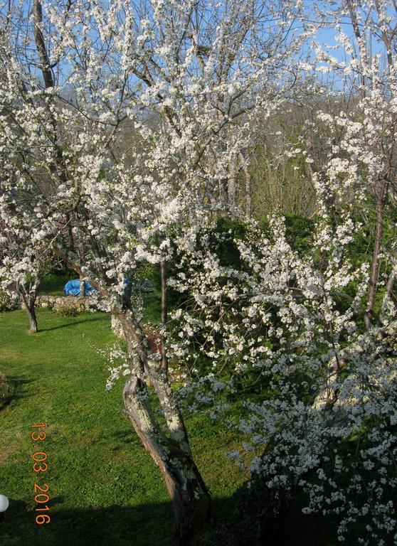 Le Colombier Bed & Breakfast Villeneuve-sur-Lot Bagian luar foto