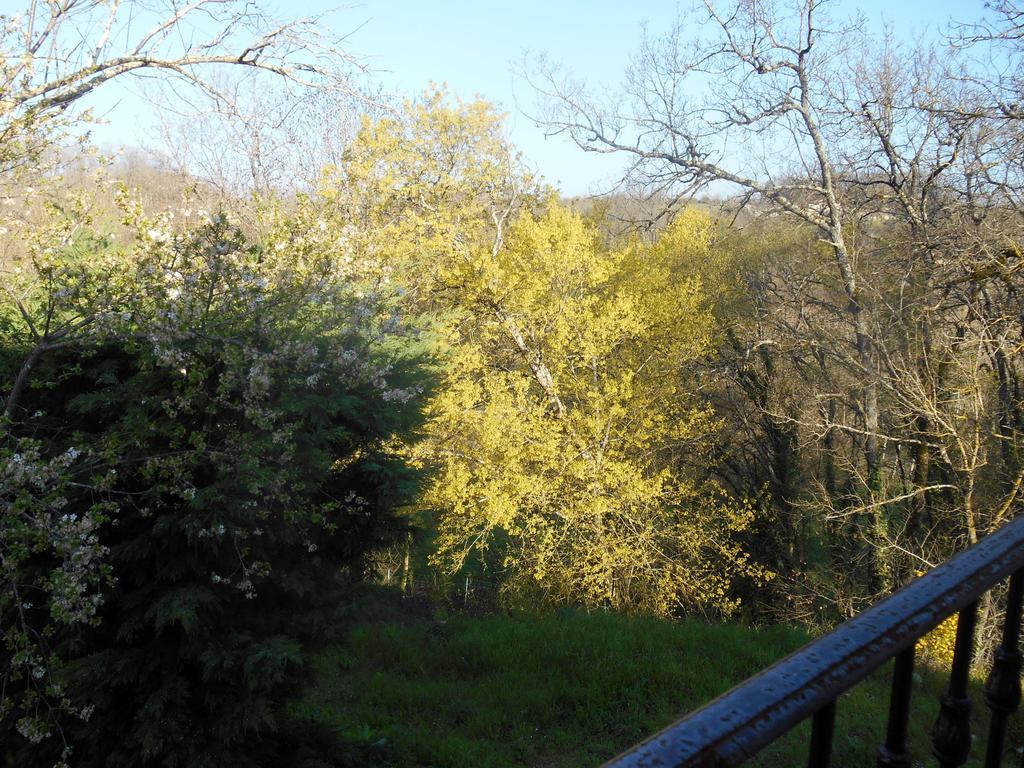 Le Colombier Bed & Breakfast Villeneuve-sur-Lot Bagian luar foto
