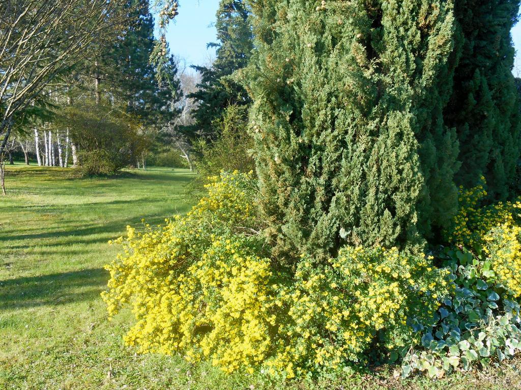 Le Colombier Bed & Breakfast Villeneuve-sur-Lot Bagian luar foto