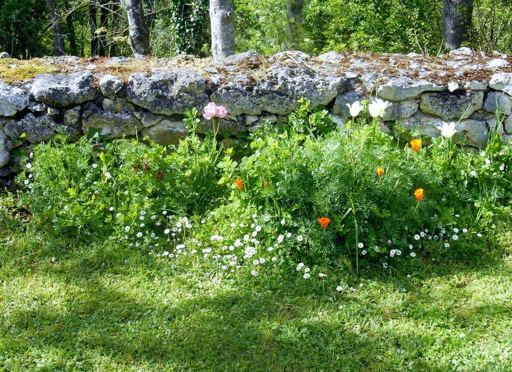Le Colombier Bed & Breakfast Villeneuve-sur-Lot Bagian luar foto