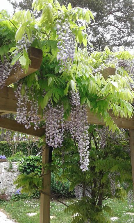Le Colombier Bed & Breakfast Villeneuve-sur-Lot Bagian luar foto