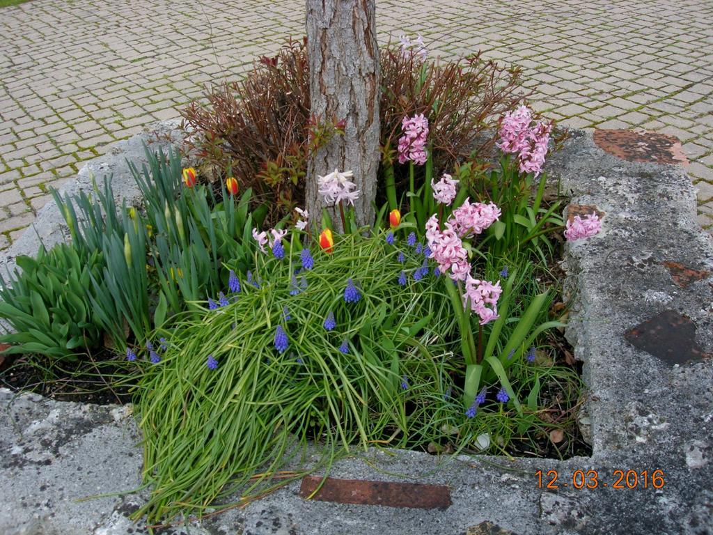Le Colombier Bed & Breakfast Villeneuve-sur-Lot Bagian luar foto