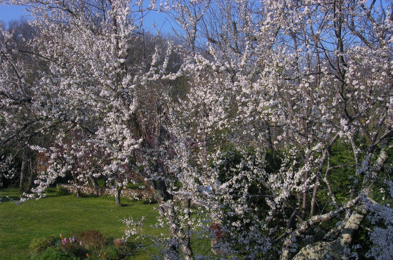 Le Colombier Bed & Breakfast Villeneuve-sur-Lot Bagian luar foto